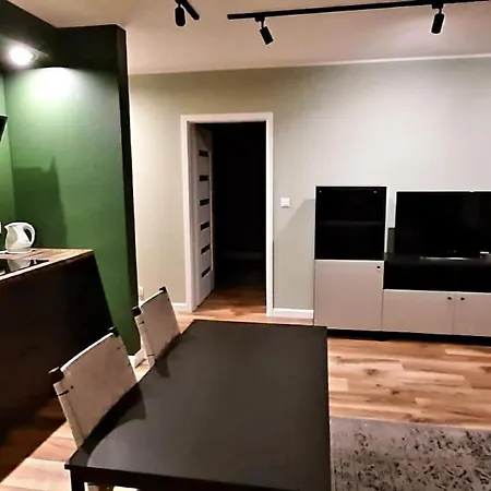 Wielicka Street Apartment Краків Екстер'єр фото