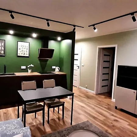 Wielicka Street Apartment Краків Екстер'єр фото